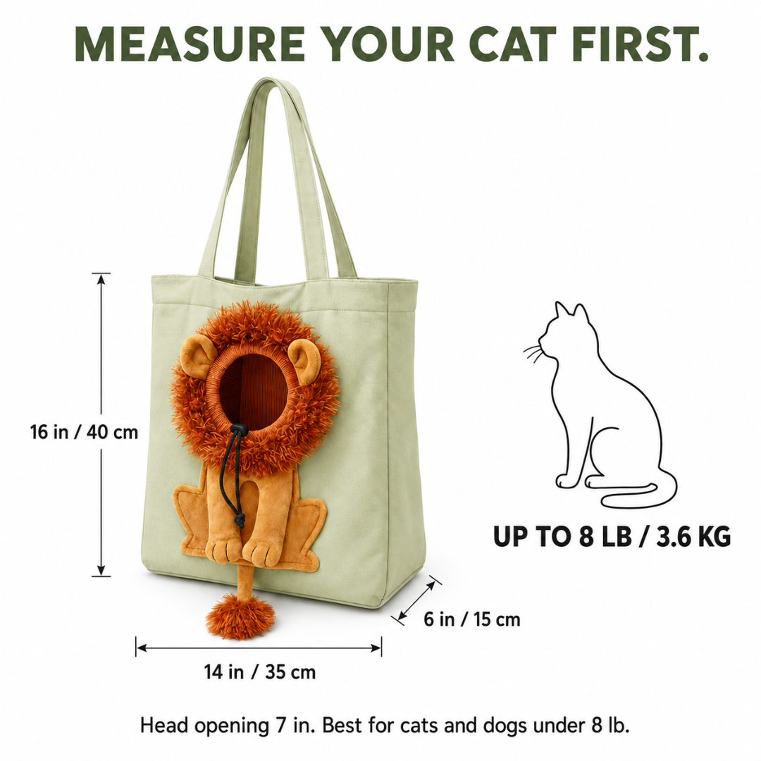 Keep Your Cat Close, Wherever You Go